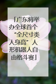 广东将举办全球首个“全尺寸类人身高”人形机器人自由格斗赛