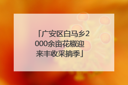 广安区白马乡2000余亩花椒迎来丰收采摘季