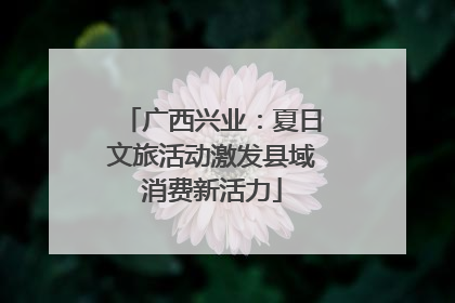 广西兴业：夏日文旅活动激发县域消费新活力