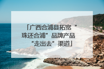 广西合浦县拓宽“珠还合浦”品牌产品“走出去”渠道