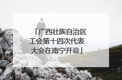 广西壮族自治区工会第十四次代表大会在南宁开幕