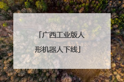 广西工业版人形机器人下线