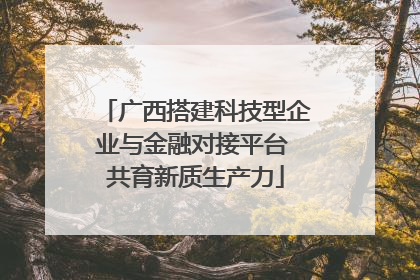 广西搭建科技型企业与金融对接平台 共育新质生产力