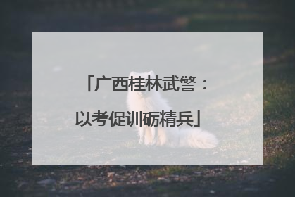 广西桂林武警：以考促训砺精兵