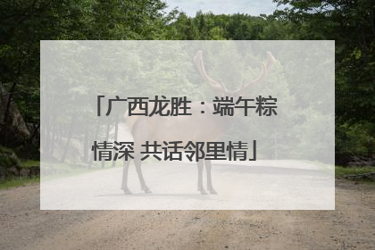 广西龙胜：端午粽情深 共话邻里情