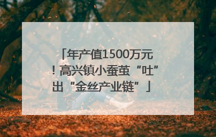 年产值1500万元！高兴镇小蚕茧“吐”出“金丝产业链”