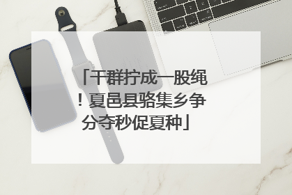 干群拧成一股绳！夏邑县骆集乡争分夺秒促夏种