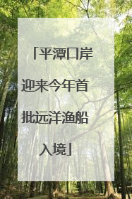 平潭口岸迎来今年首批远洋渔船入境