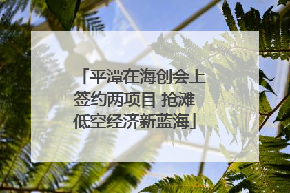 平潭在海创会上签约两项目 抢滩低空经济新蓝海