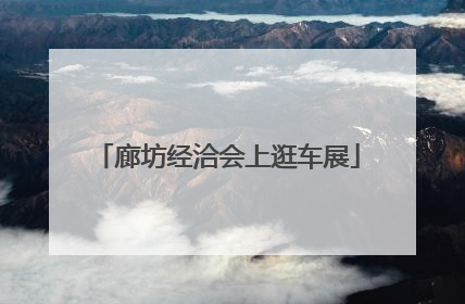 廊坊经洽会上逛车展