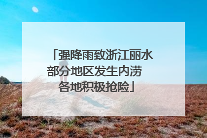 强降雨致浙江丽水部分地区发生内涝 各地积极抢险
