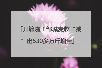 开镰啦！邹城麦收“减”出530多万斤增量