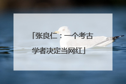 张良仁：一个考古学者决定当网红