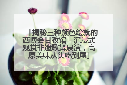 揭秘三种颜色绘就的西博会甘孜馆：沉浸式观赏非遗歌舞展演，高原美味从头吃到尾