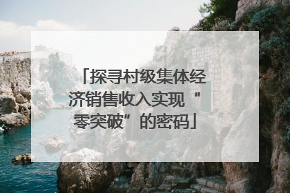 探寻村级集体经济销售收入实现“零突破”的密码
