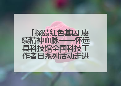 探赜红色基因 赓续精神血脉——怀远县科技馆全国科技工作者日系列活动走进怀远县实验中学