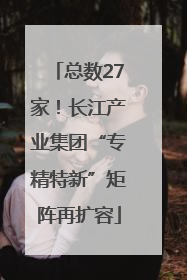 总数27家！长江产业集团“专精特新”矩阵再扩容