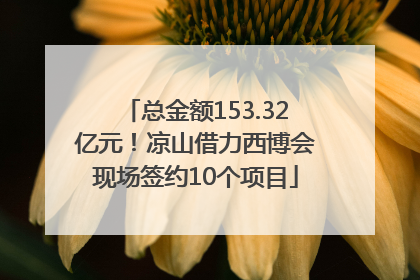 总金额153.32亿元！凉山借力西博会现场签约10个项目