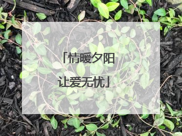 情暖夕阳 让爱无忧