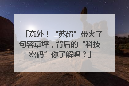 意外！“苏超”带火了句容草坪，背后的“科技密码”你了解吗？