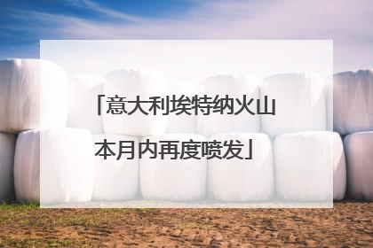 意大利埃特纳火山本月内再度喷发
