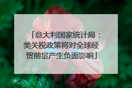 意大利国家统计局：美关税政策将对全球经贸前景产生负面影响
