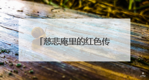 慈悲庵里的红色传声人：“我们守护的不仅是文物”