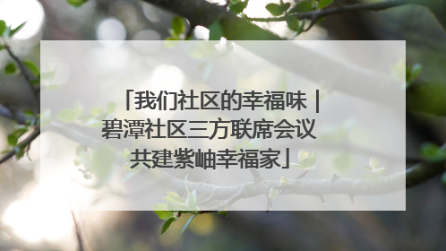 我们社区的幸福味｜碧潭社区三方联席会议共建紫岫幸福家
