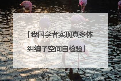 我国学者实现真多体纠缠子空间自检验