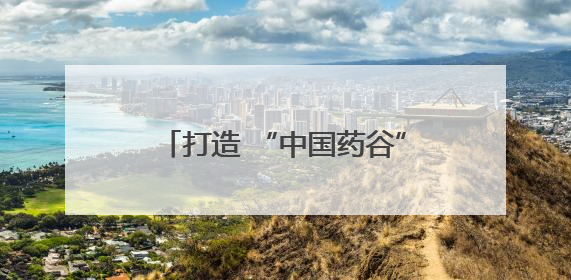打造 “中国药谷”，驻马店市市长诚邀长三角高精尖企业入驻