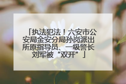 执法犯法！六安市公安局金安分局孙岗派出所原指导员、一级警长刘军被“双开”