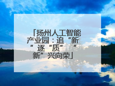 扬州人工智能产业园：追“新”逐“质” “新”兴向荣