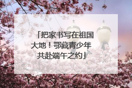 把家书写在祖国大地！鄂藏青少年共赴端午之约
