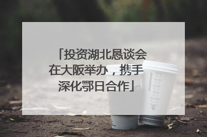 投资湖北恳谈会在大阪举办，携手深化鄂日合作