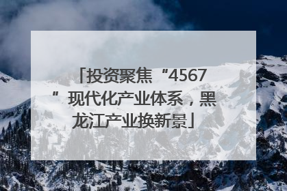 投资聚焦“4567”现代化产业体系，黑龙江产业换新景