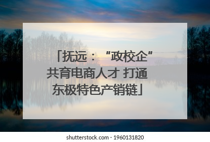 抚远：“政校企”共育电商人才 打通东极特色产销链