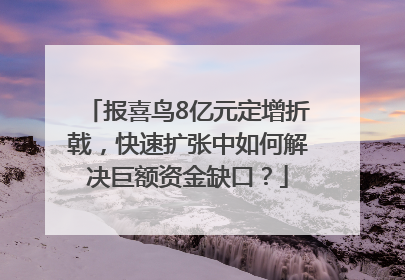 报喜鸟8亿元定增折戟，快速扩张中如何解决巨额资金缺口？