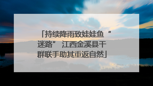 持续降雨致娃娃鱼“迷路” 江西金溪县干群联手助其重返自然