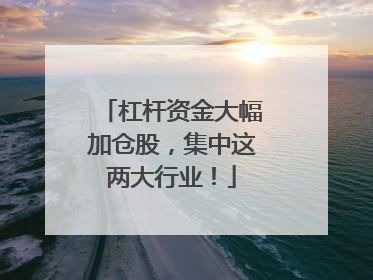 杠杆资金大幅加仓股，集中这两大行业！
