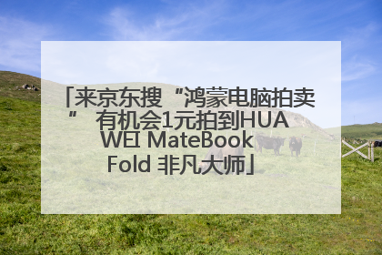 来京东搜“鸿蒙电脑拍卖” 有机会1元拍到HUAWEI MateBook Fold 非凡大师