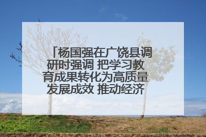 杨国强在广饶县调研时强调 把学习教育成果转化为高质量发展成效 推动经济稳健向好进中提质