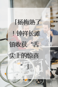 杨梅熟了！钟祥长滩镇收获“舌尖上的惊喜”