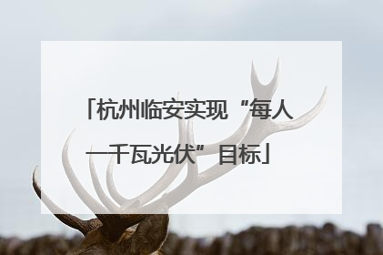 杭州临安实现“每人一千瓦光伏”目标