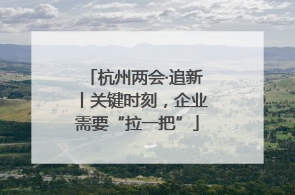 杭州两会·追新丨关键时刻，企业需要“拉一把”