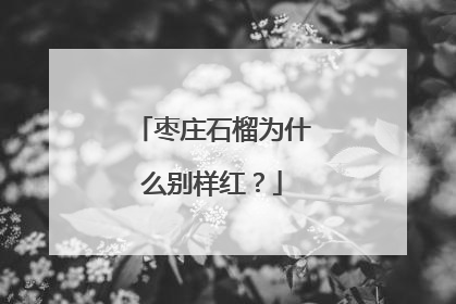 枣庄石榴为什么别样红？