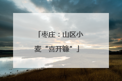 枣庄：山区小麦“喜开镰”