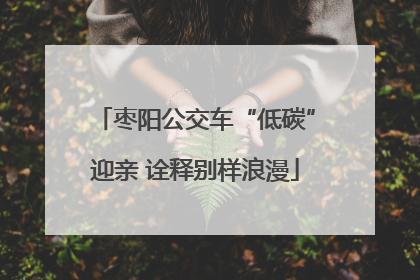 枣阳公交车“低碳”迎亲 诠释别样浪漫