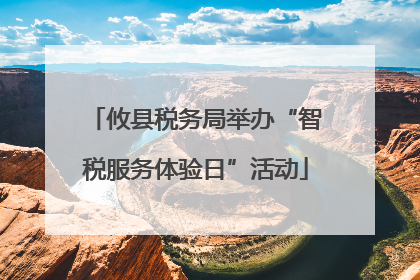 攸县税务局举办“智税服务体验日”活动