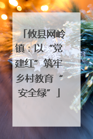 攸县网岭镇：以“党建红”筑牢乡村教育“安全绿”