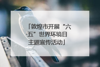 敦煌市开展“六·五”世界环境日主题宣传活动